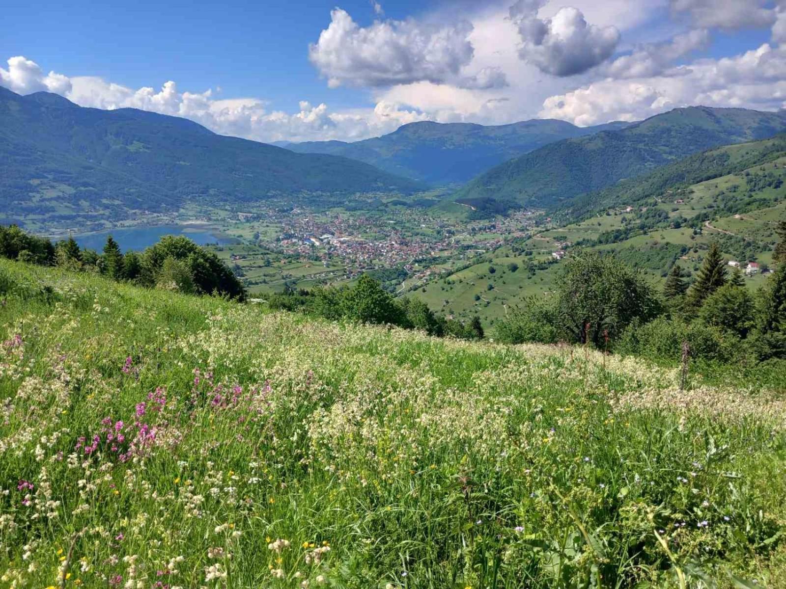 مبيت وإفطار بلاف Viewpoint Kofiljaca المظهر الخارجي الصورة